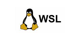 Featured image of post 02 使用WSL ToolBox管理你的Linux子系统
