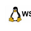 02 使用WSL ToolBox管理你的Linux子系统